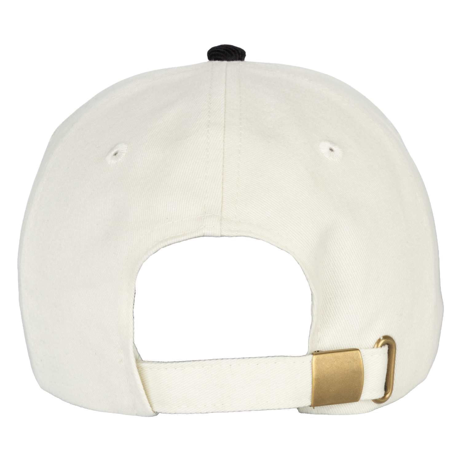 rear view of hat showing adjustable strap