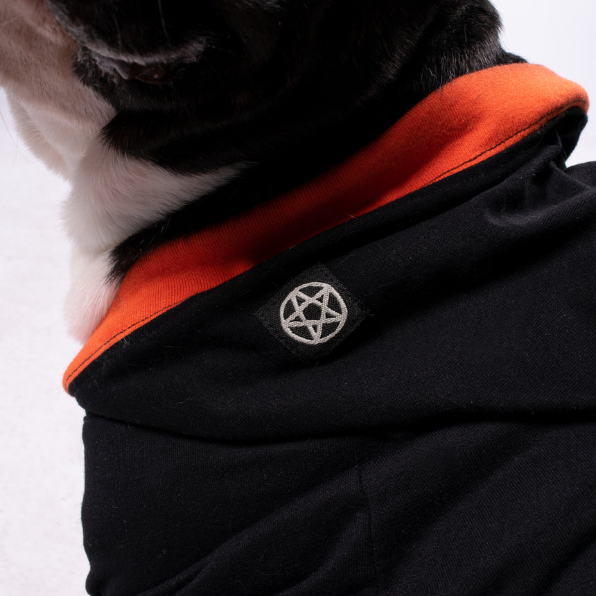 howl yourself black and orange dog hoodie on dog cash is about 35 lbs and wears an xl